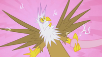 Electric Shocked Griffon