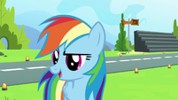 Rainbow Dash has an idea S7E7