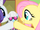 Rarity and Fluttershy high-hoof S1E20.png