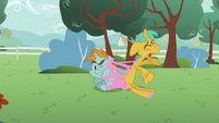 Snips and Snails sticked with gum on their backs S2E23
