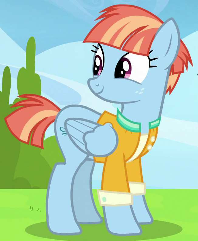 mlp rainbow dash mom