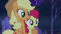 Apple Bloom being held by Applejack S3E06