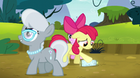 Apple Bloom feeling put down S5E4