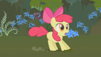 Apple Bloom stops upon hearing Applejack S1E09