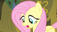 Fluttershy 'I just don't think I could sing in front of' S4E14