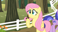 Fluttershy 'Uh... Pinkie Pie... ' S2E15