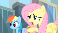 Fluttershy 'What if you find a Gloomy Gus' S4E08