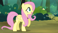 Fluttershy greets Hummingway S4E18