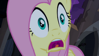 Fluttershy screaming S4E03