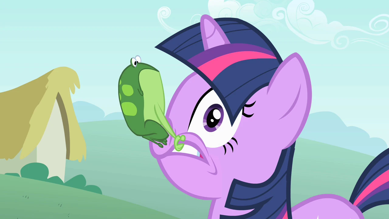 My Little Pony Friendship is Magic Wiki 
