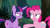 Pinkie Pie accusing Twilight Sparkle S8E13