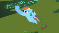 Rainbow Dash's Victory S2E8