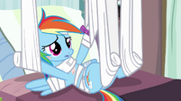 Rainbow Dash in hospital bed S4E10