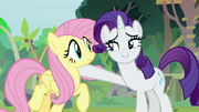 Rarity putting a hoof around Fluttershy S8E4