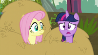 Twilight --I was so sure it would-- S5E23