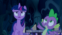 Twilight and Spike look up at the sky S5E26