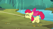 Apple Bloom pulling a rope S3E06