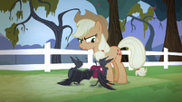 Applejack sees two bats fighting over an apple S4E07