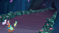 Cave of Harmony cleared of Tree fragments S9E3