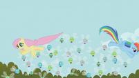 Rainbow Dash and Fluttershy gather parasprites.