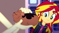 "...don't you think, Sunset Shimmer?"