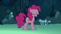 Pinkie Pie 'Starting now' S3E03