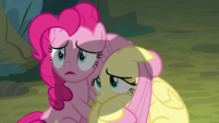 Pinkie and Fluttershy looking up at Twilight S8E13