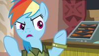 Rainbow Dash --why would you even come-- S6E13