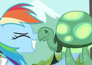 Rainbow Dash and Tank nose kissing S2E7