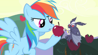 Rainbow Dash offering apple to vampire bat S4E07