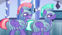 Royal guards still searching for Thorax S6E16
