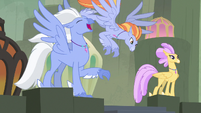 Sky Beak screeching at the Mount Aris beach S8E6