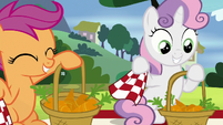 Sweetie Belle with a picnic basket of carrots S8E12