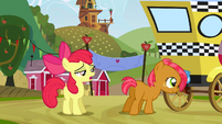 Apple Bloom "I mean obviously" S3E8