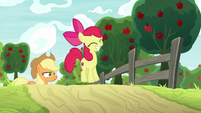 Apple Bloom jumping with elation S9E10