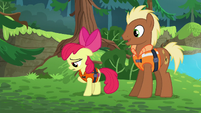 Apple Bloom sings "Everypony has to go out" S6E4