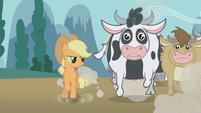 Applejack and the cows S01E04