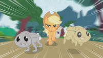 Applejack chasing after two bunnies S1E04