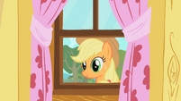Applejack staring through window S01E18