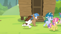 Cutie Mark Day Campers gallop after Rumble S7E21