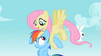 Fluttershy carrying Rainbow Dash S2E07