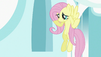 Fluttershy doesn't find Rainbow Dash S2E02