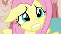 Fluttershy pleading to Discord S7E12