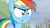 Rainbow's super angry face S5E5