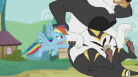 Rainbow Dash punching the bugbear S5E9