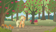 S01E04 Applejack zbiera jabłka