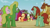 S03E09 Applejack prosi o pomoc