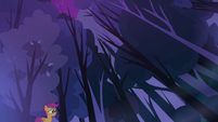 Scootaloo and the trees S3E06