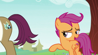 Scootaloo embarrassed by her dad's praise S9E12