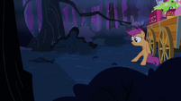 Scootaloo looking at the branches S3E06